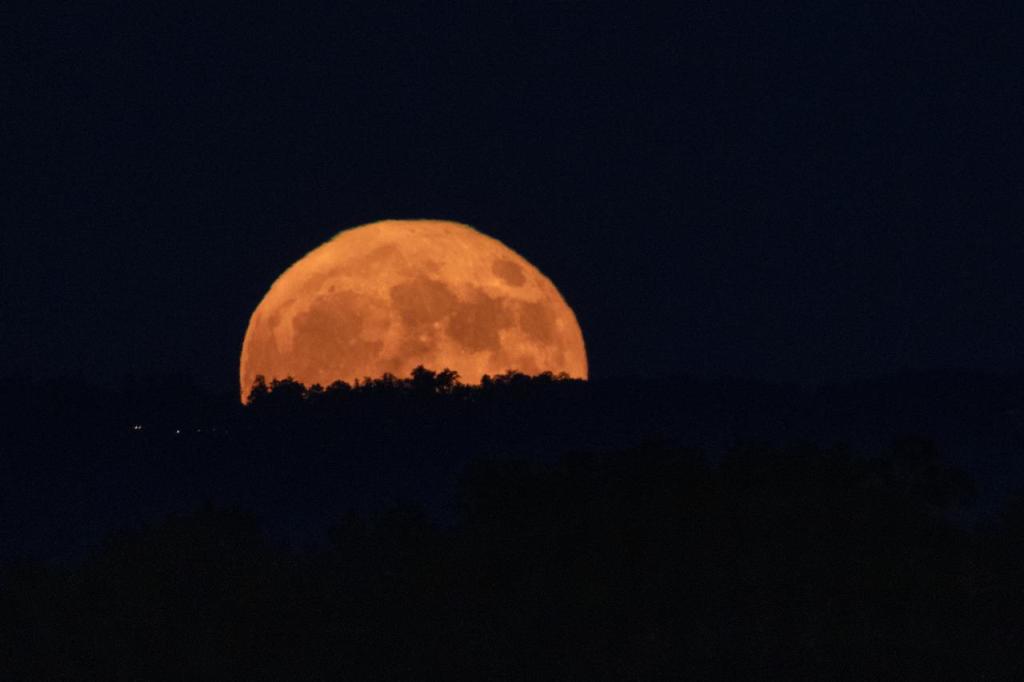 
			You “Woodn’t” Want to Miss the Beaver Moon, Last Supermoon of 2024 - NASA			