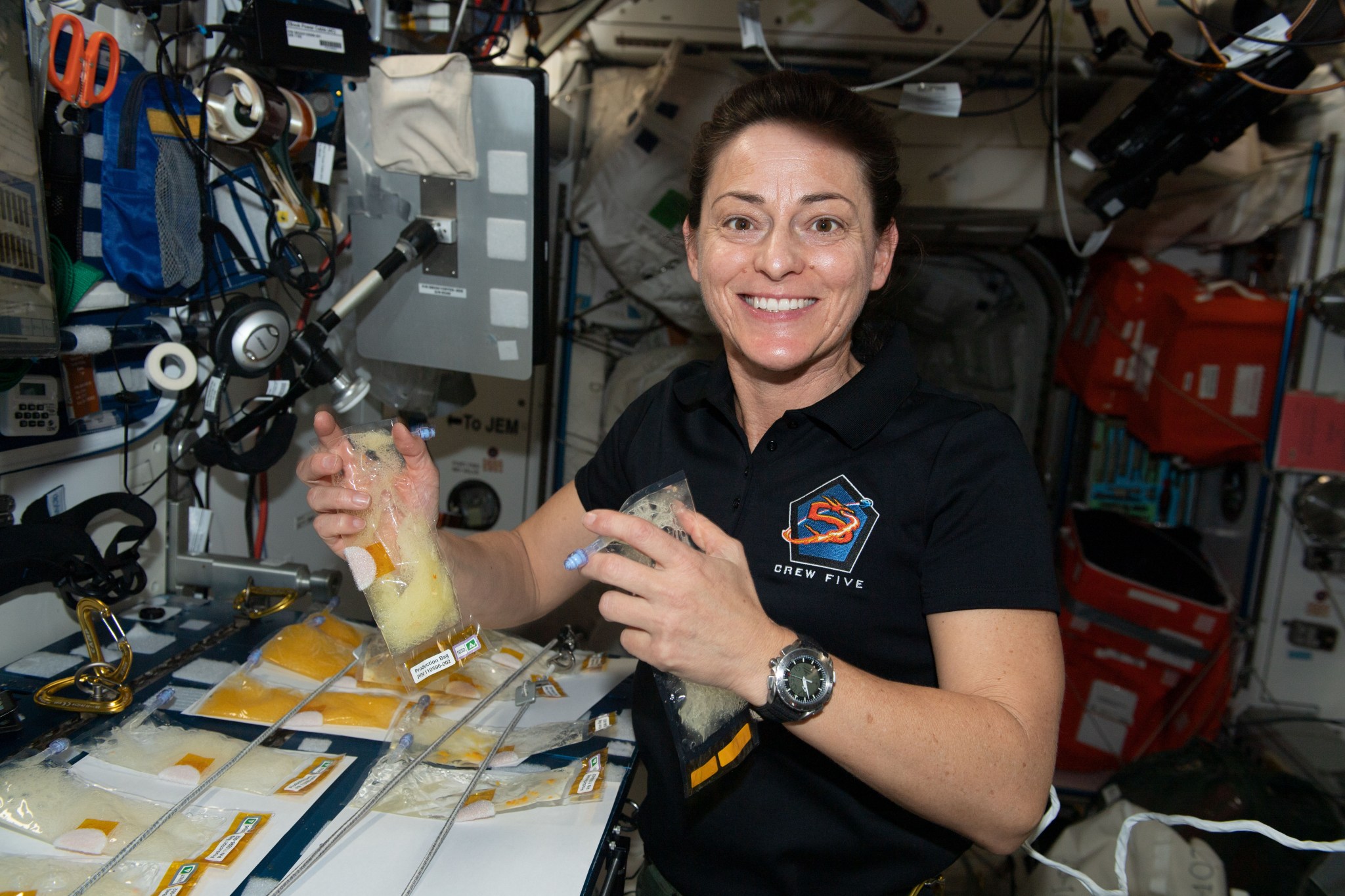 image of an astronaut preparing samples for an experiment