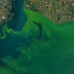 Cyanobacteria in a body of water as seen from a satellite image