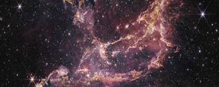 Star cluster NGC 346 appears as a glittery gold and purple splash of color against a black, star-sprinkled backdrop. Shaped a bit like a dove, the cluster is translucent lavender and lilac, with gold and white edges.