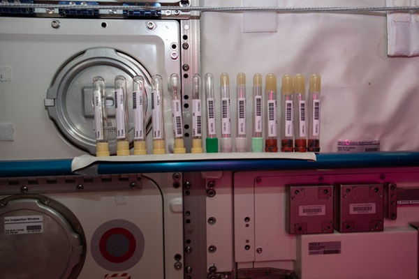 image of experiment sample vials