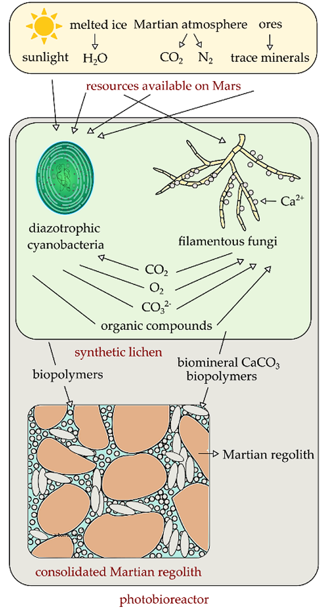 Diagram of resources available on Mars, synthetic lichen and consolidated Martian regolith