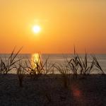 A beautiful sunrise is captured over sand dunes at the beach at NASA’s Kennedy Space Center in Florida on July 15, 2020. Teams at Kennedy are working on dune restoration efforts, which has included bringing about 450,000 cubic yards of beach-quality sand in to Kennedy’s beaches to build up dunes that have been affected by beach erosion and storm surges. Once the dunes were built up, native coastal vegetation was replanted to help stabilize the dunes and provide a habitat for wildlife at the Florida spaceport. The first phase of dune restoration efforts are now complete, and the second phase is scheduled to be completed by March 2021.