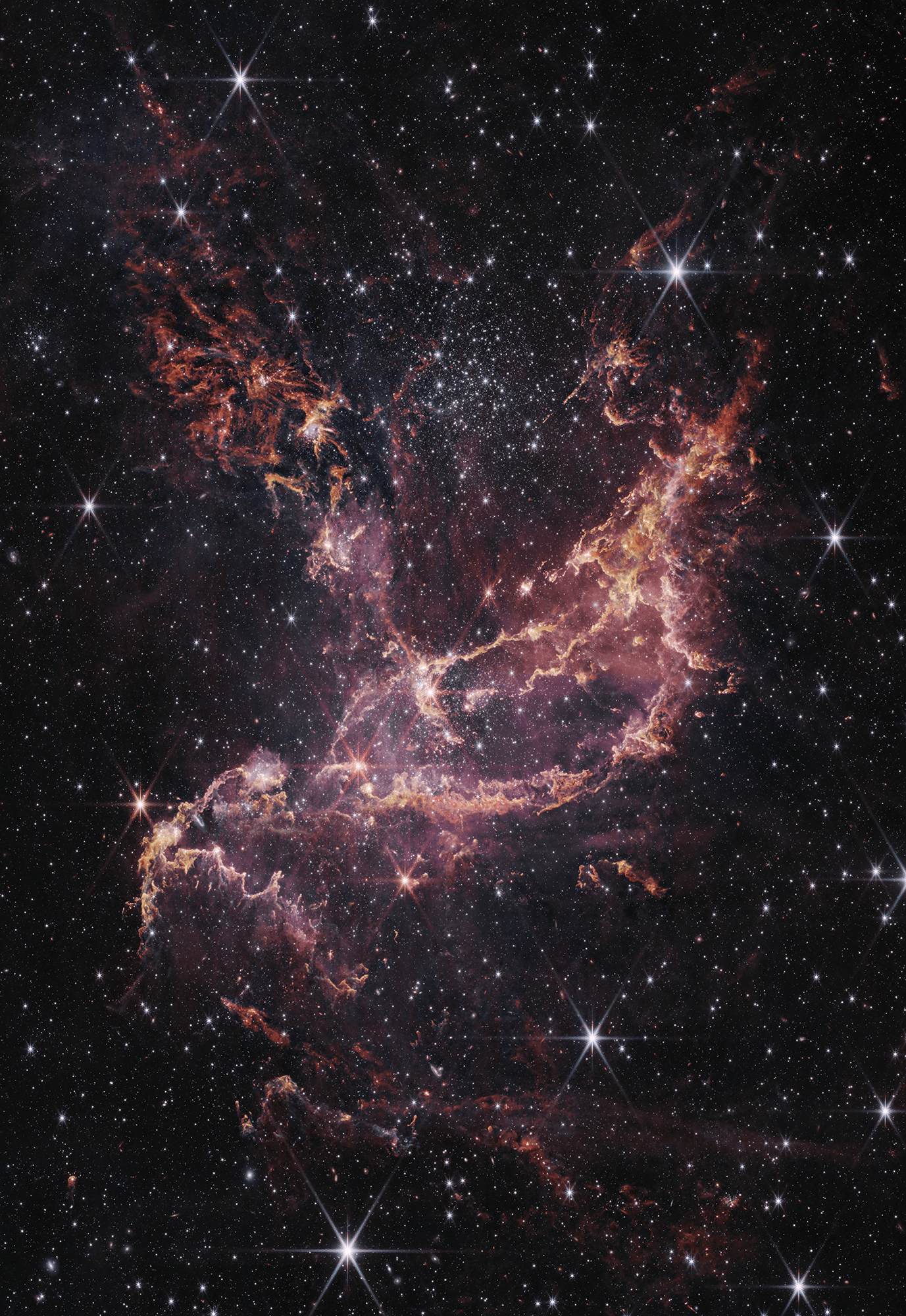 Star cluster NGC 346 appears as a glittery gold and purple splash of color against a black, star-sprinkled backdrop. Shaped a bit like a dove, the cluster is translucent lavender and lilac, with gold and white edges.