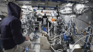 video of astronaut working with a sphere camera for an imagery investigation