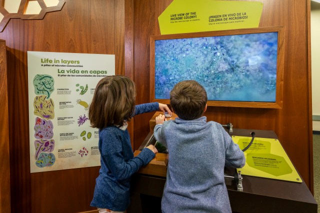 Two children interacting with a museum exhibit