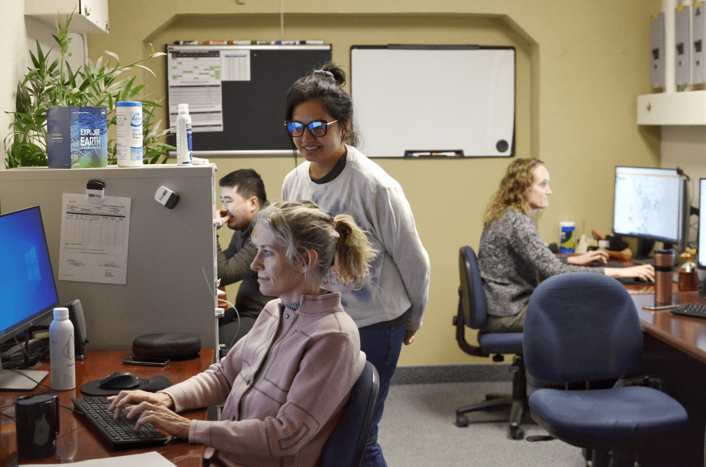 People in an office environment sitting at their desk working on a computer.