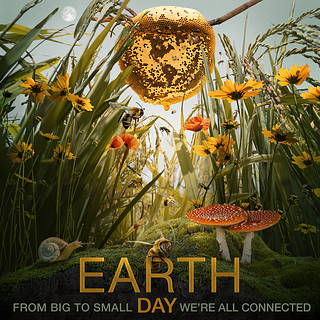 illustration of bees and flowers, with text: Earth Day - from big to small, we're all connected