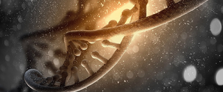 DNA sequence