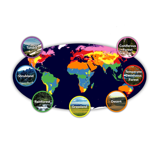 A colorful map of Earth showing Earth's different biomes