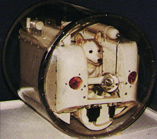 Laika, the First Dog in Space