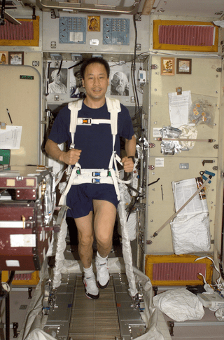 Astronaut Edward T. Lu exercises on the Treadmill Vibration Isolation System on the International Space Station