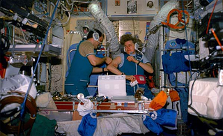 Microgravity Effects on Human Physiology: Immune System