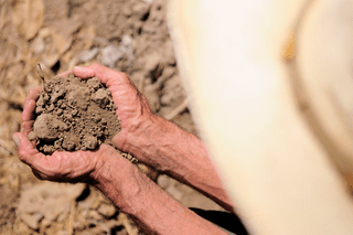 A woman picking up dirt