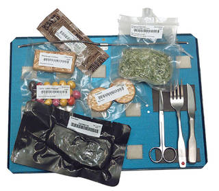 A variety of foods packaged for spaceflight arranged on a tray