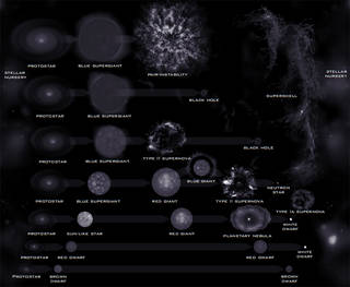 Stellar Evolution: Our Cosmic Connection