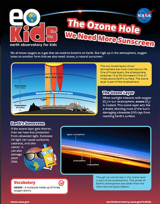 First page of “The Ozone Hole: We Need More Sunscreen”