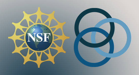 NSF logo