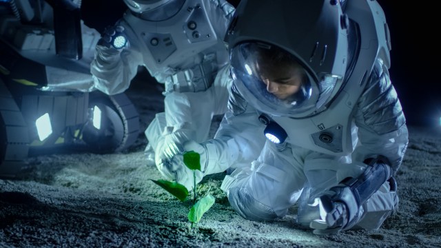 Two astronauts on the moon look at a plant sprouting from the soil.