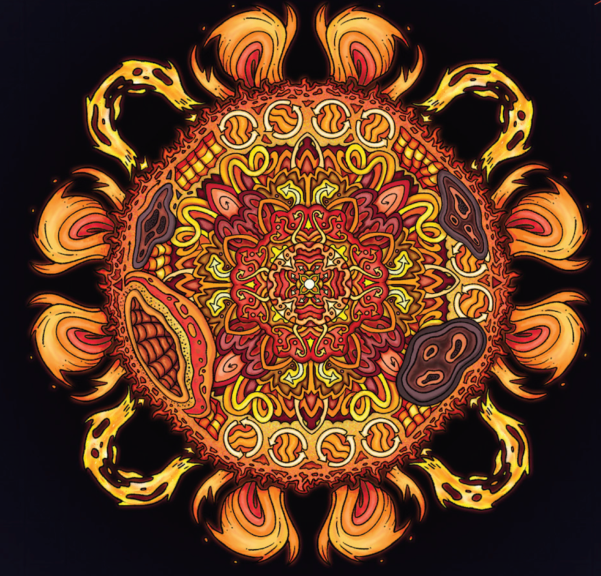 Front cover of the coloring book "Journey Through the Heliosphere: The Sun-Earth System in Color"