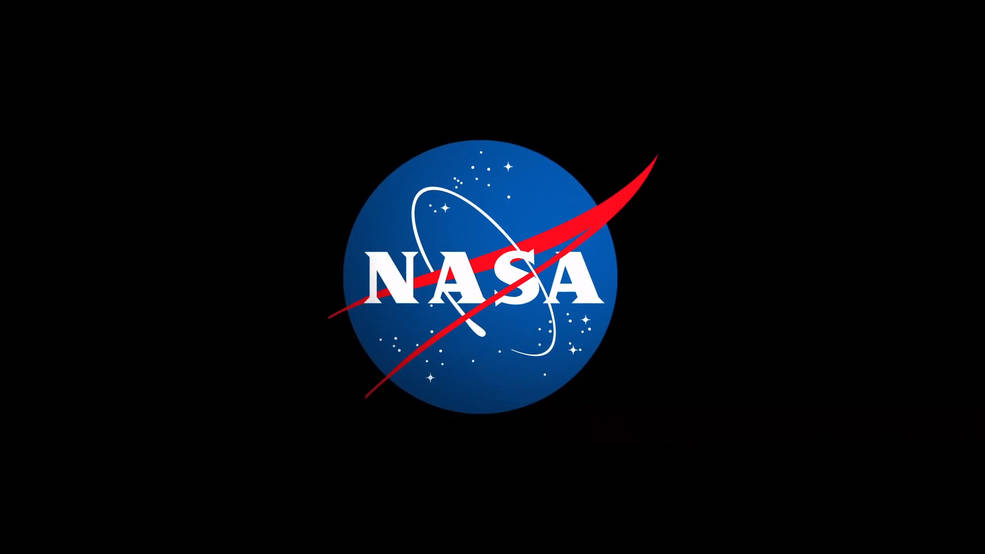 NASA Meatball Logo