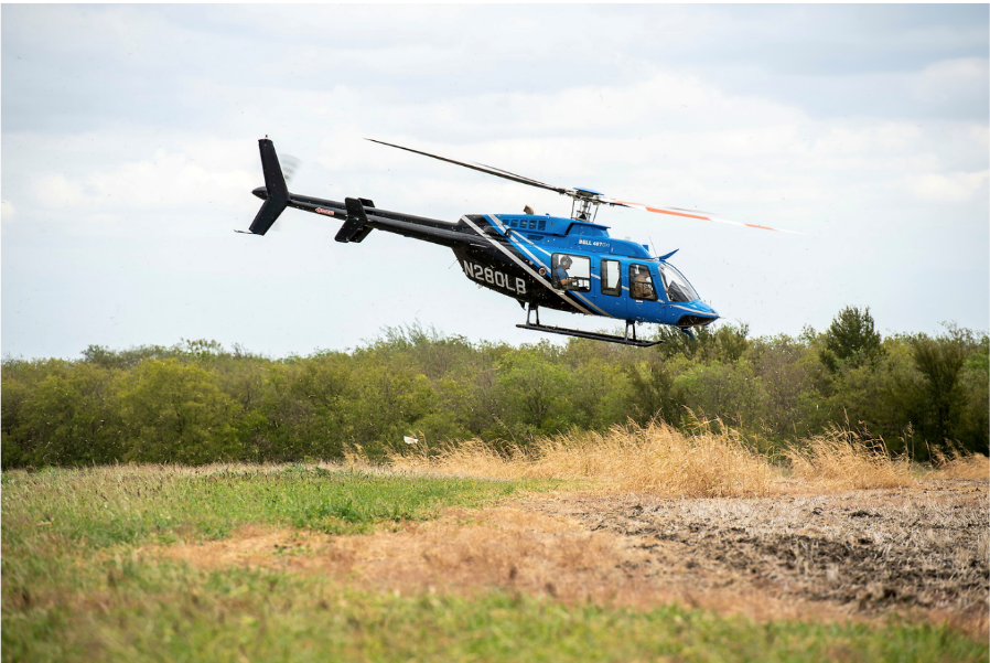 Blue helicopter hovering over grass and bushes.