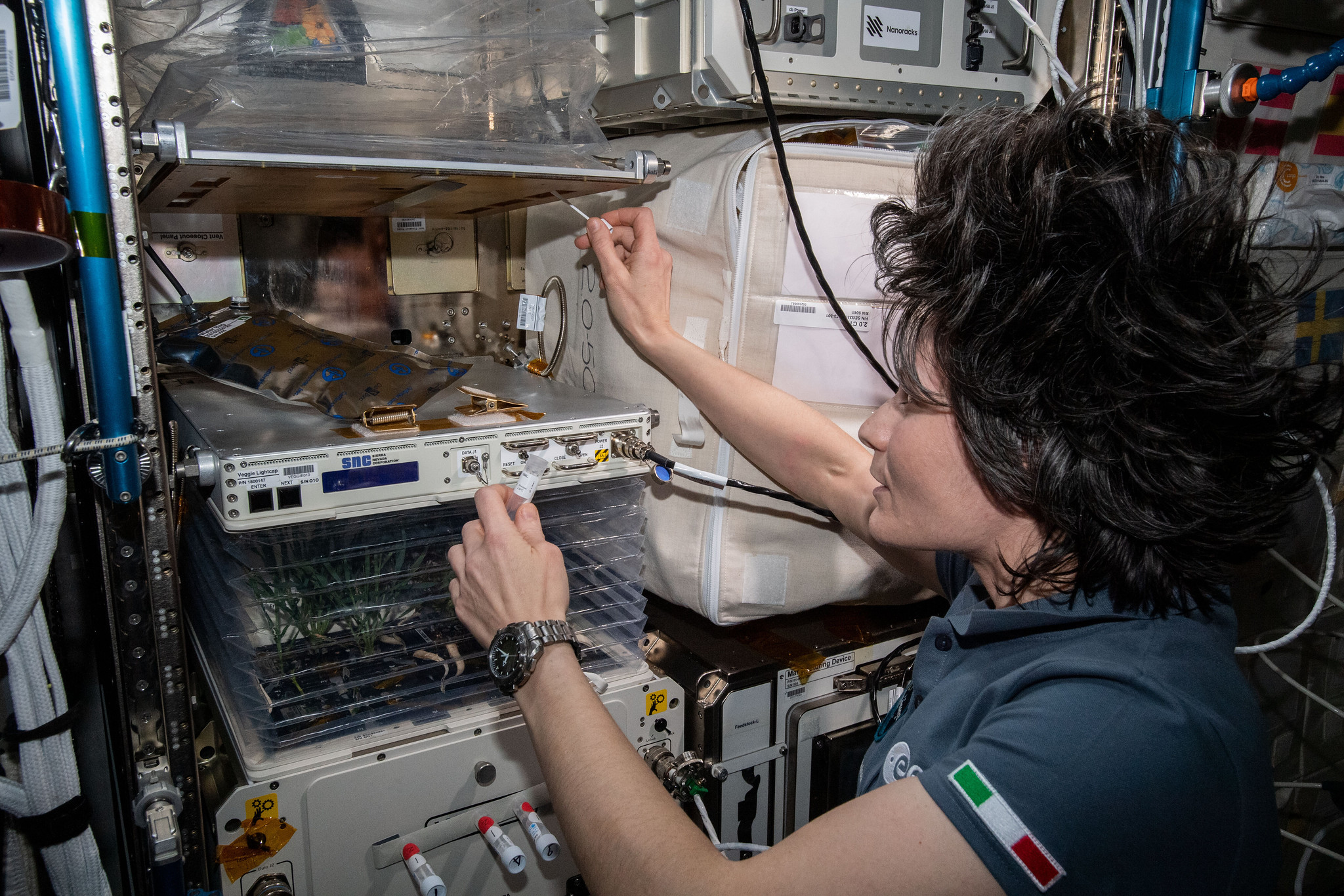 astronaut processes microbe samples collected for Veggie Monitoring.