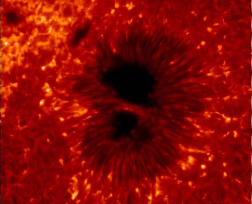Hinode Image of Sunspot