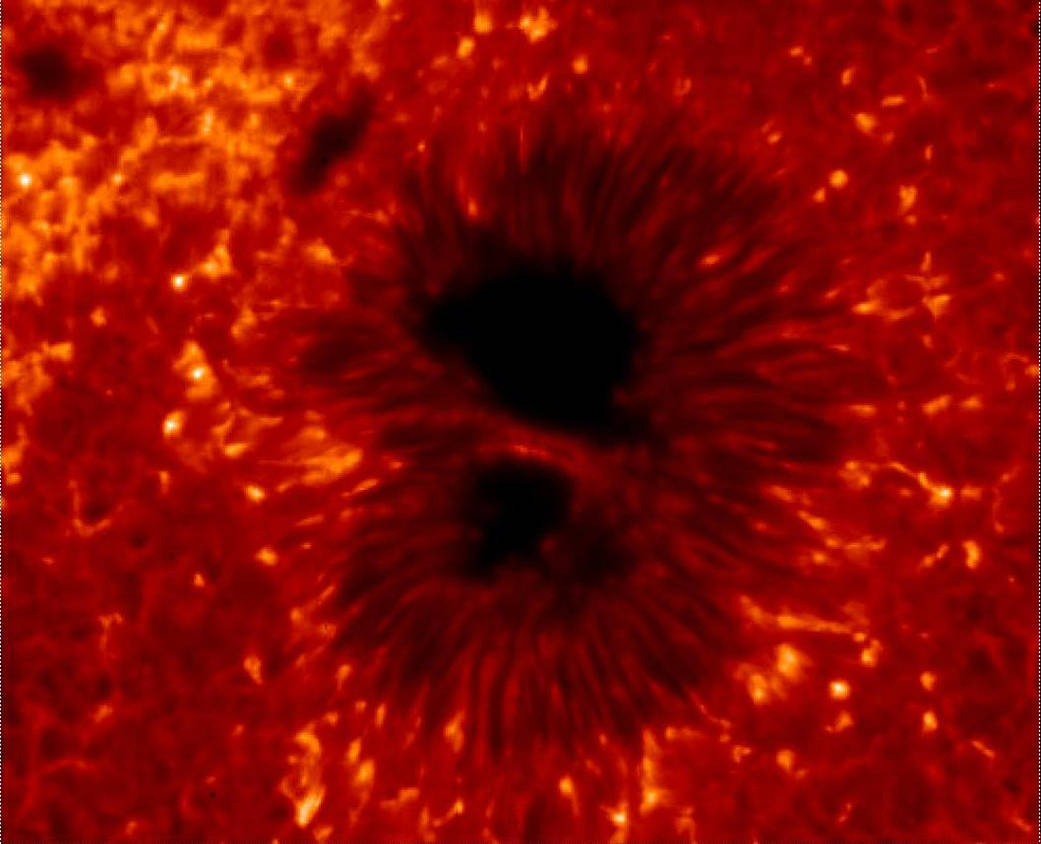 Hinode Image of Sunspot 