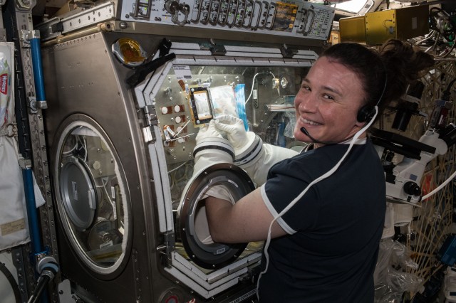 Astronaut Serena Auñón-Chancellor using the microgravity science glovebox.