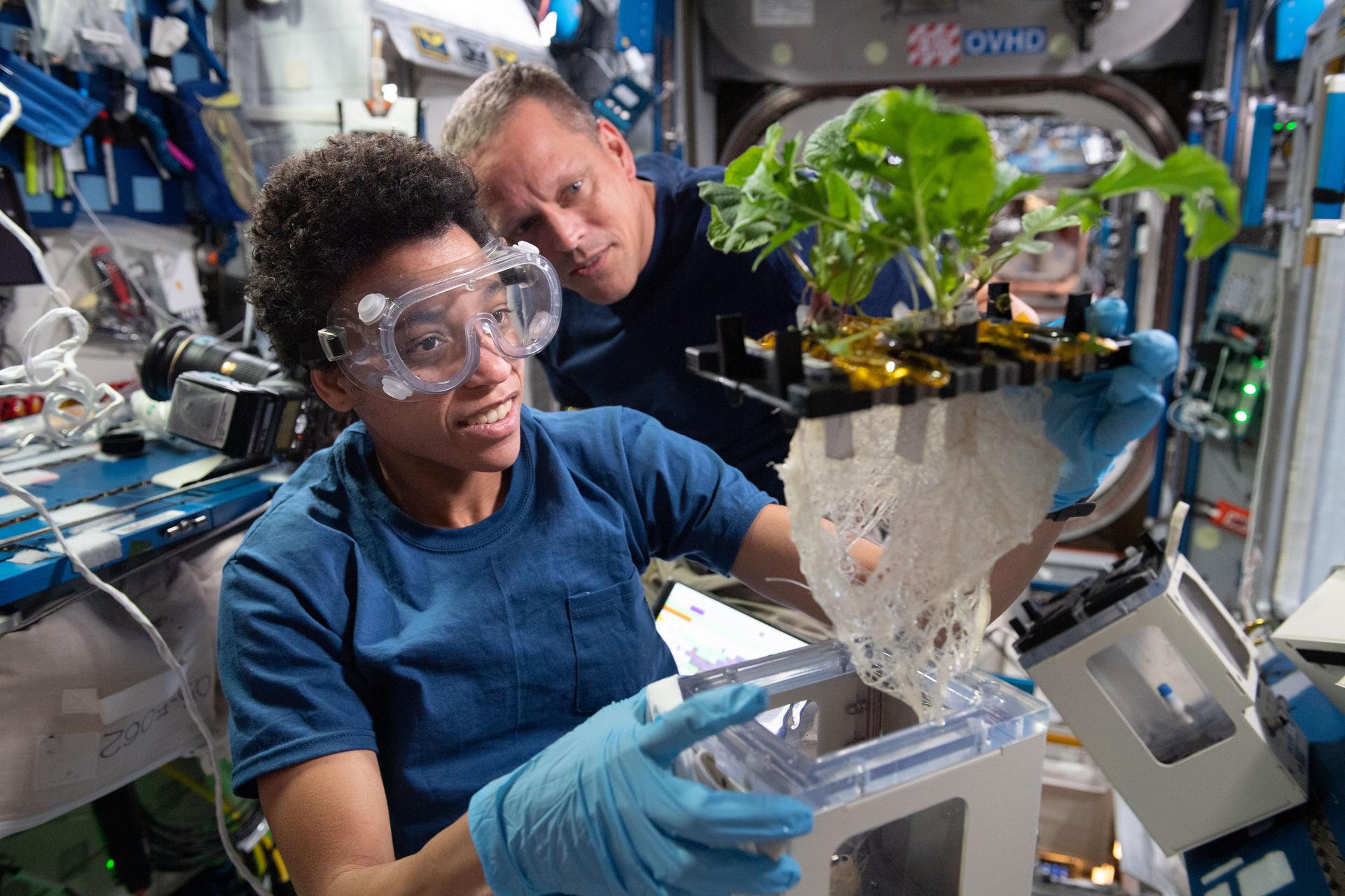 Jessica Watkins and Bob Hines work on a botany investigation on board the International Space Station