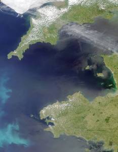 Coccoliths in the Celtic Sea