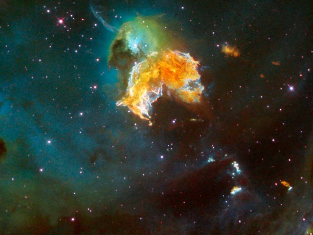Supernova Remnant Menagerie