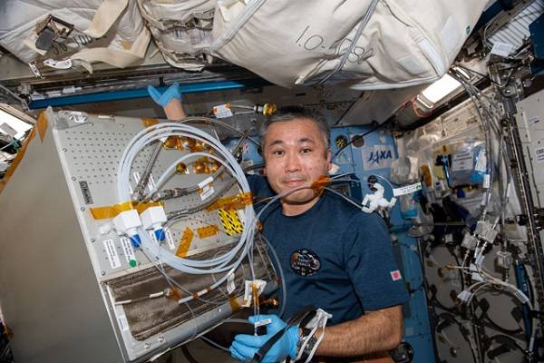 image of an astronaut preparing hardware for an experiment