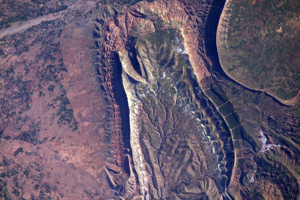 Geologic formations on terrain resembling reptile scales, photographed from low Earth orbit