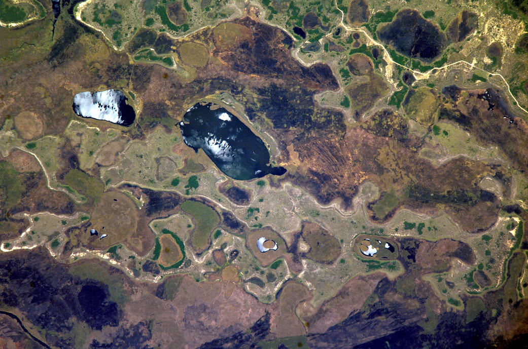 Inland Delta