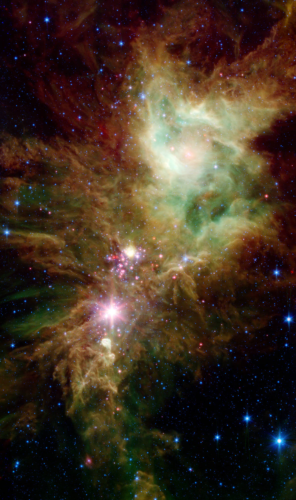 Stellar Snowflake Cluster