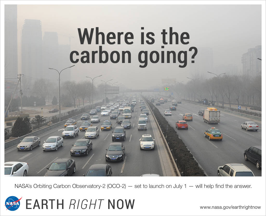 Where is the Carbon Going?