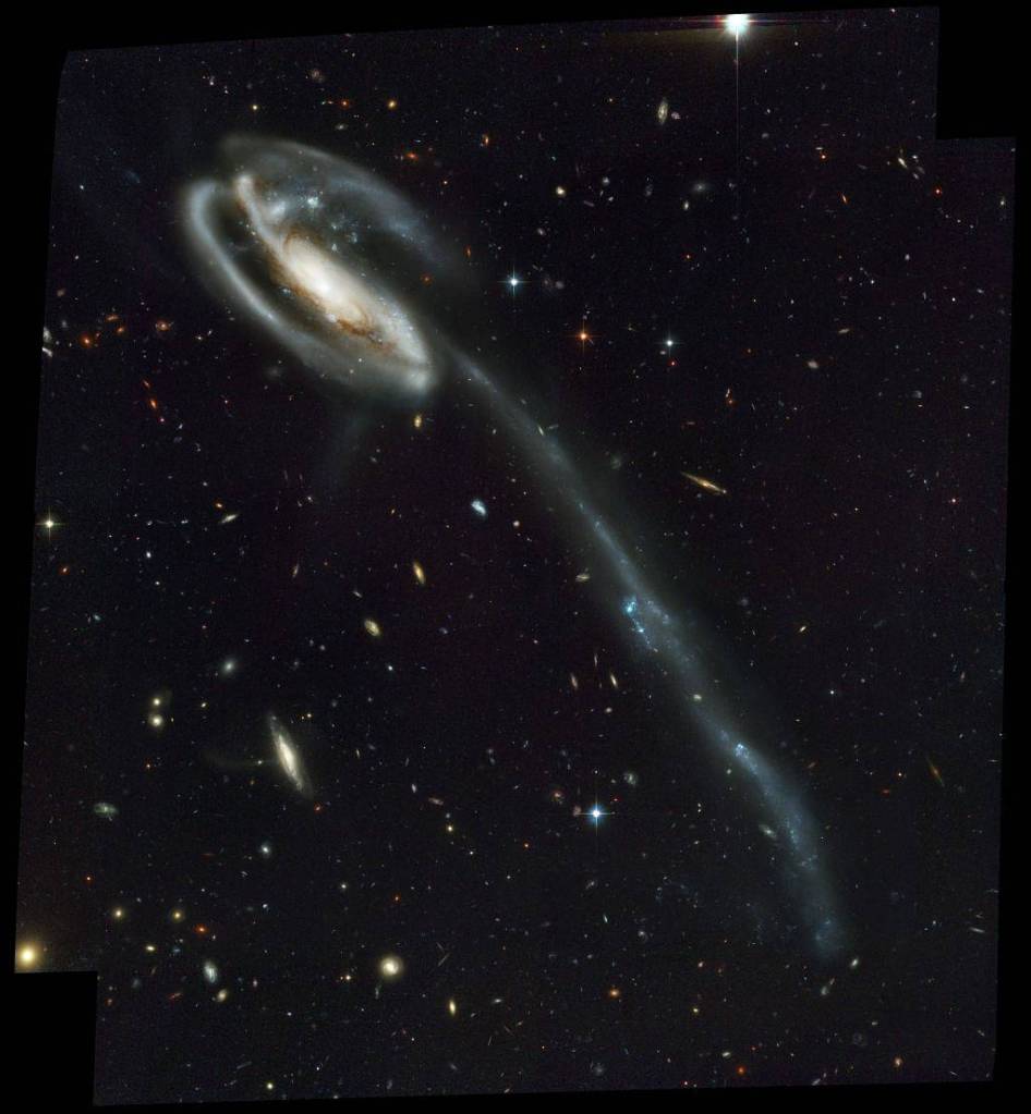 Tadpole’s Tidal Tail