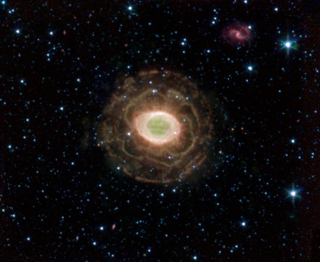 Ring Holds a Delicate Flower