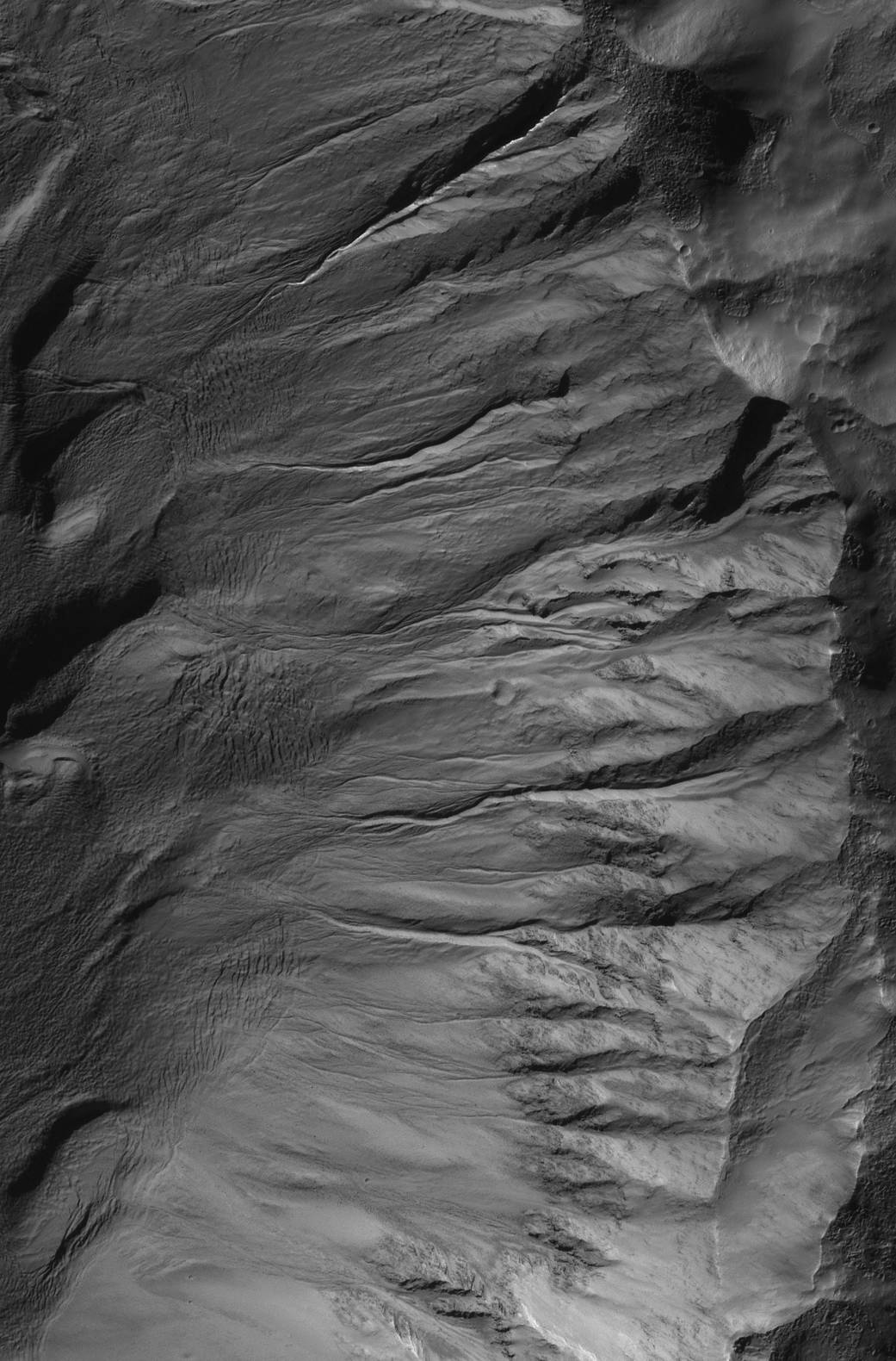 Gullies in Southern Winter