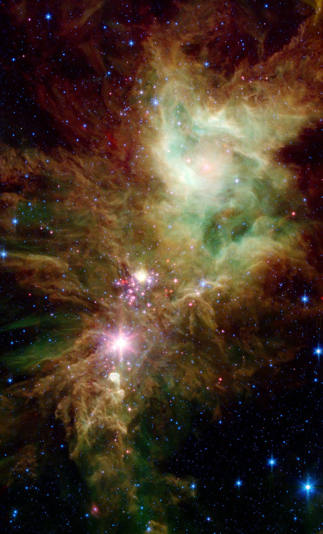 The Snowflake Cluster and the Cone Nebula