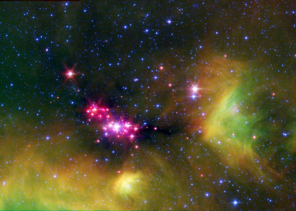 Stellar Babies