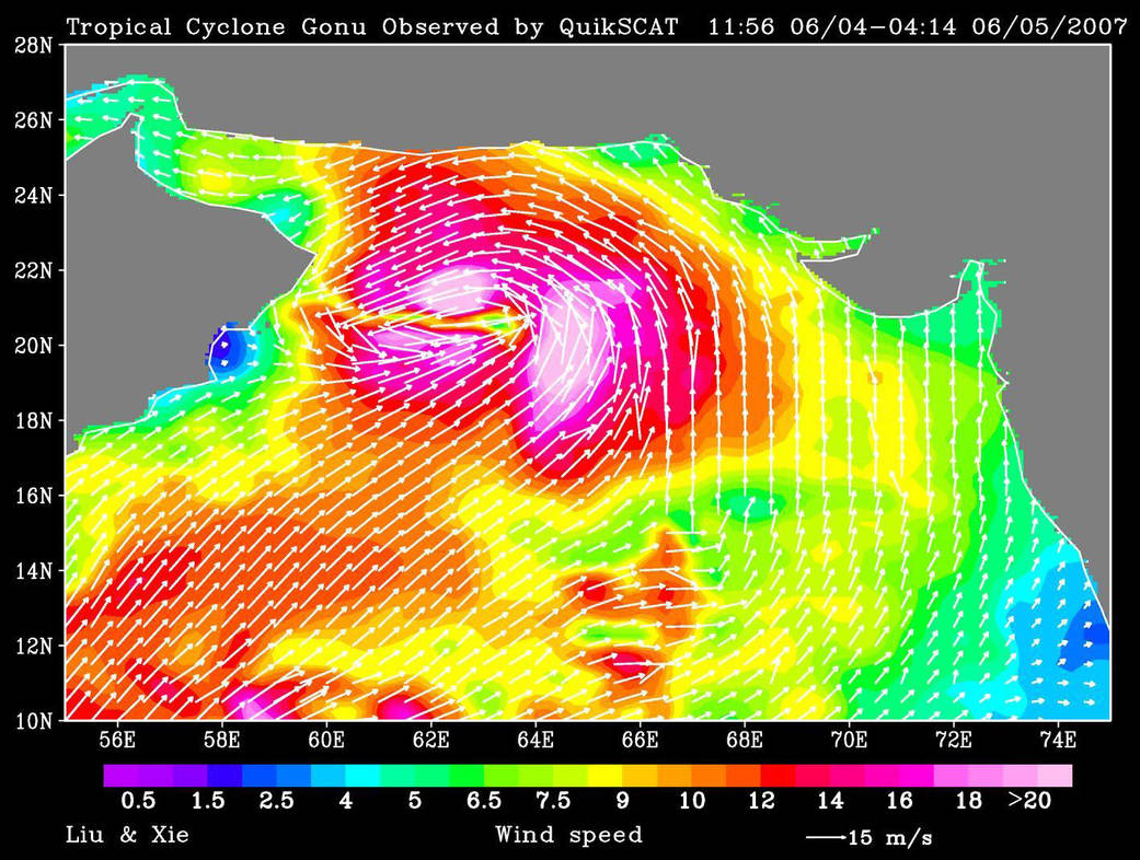 Tropical Cyclone Gonu in the Arabian Sea