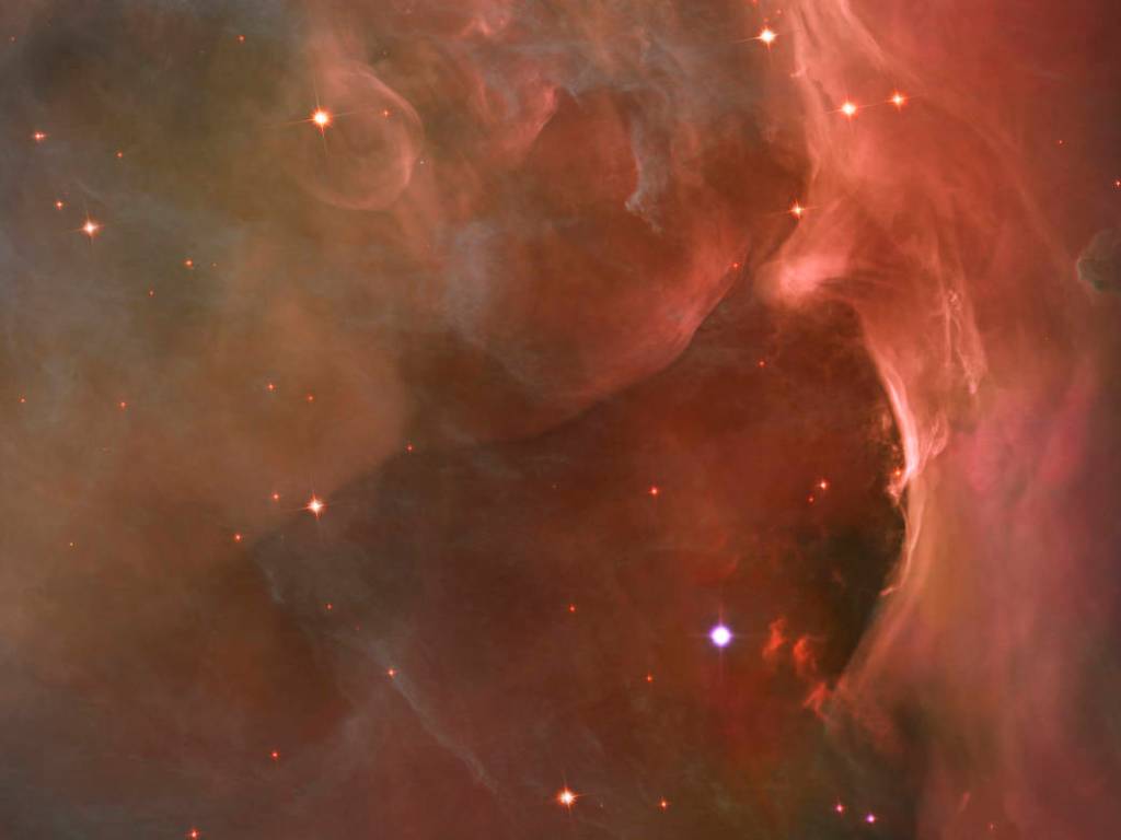 Sculpting a Galaxy