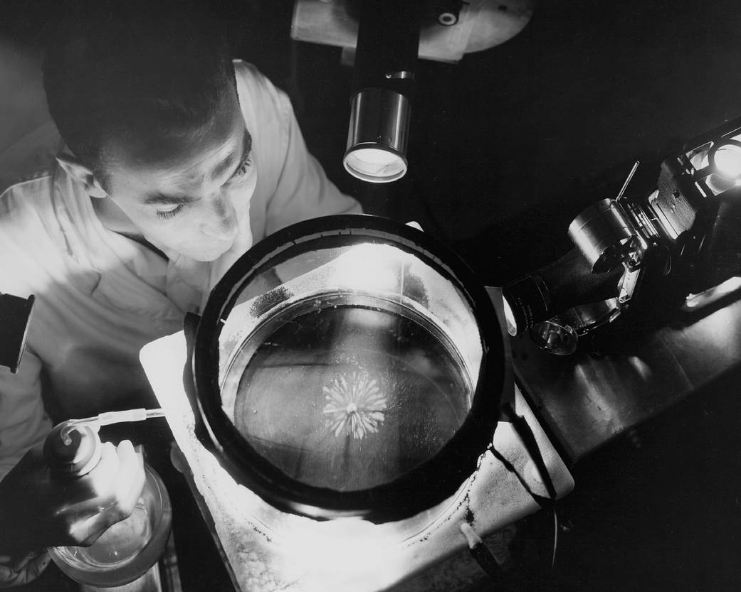 Black and white photo of man looking closely at small circular object under light 