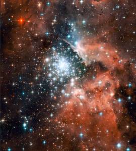 Stellar Jewel Box