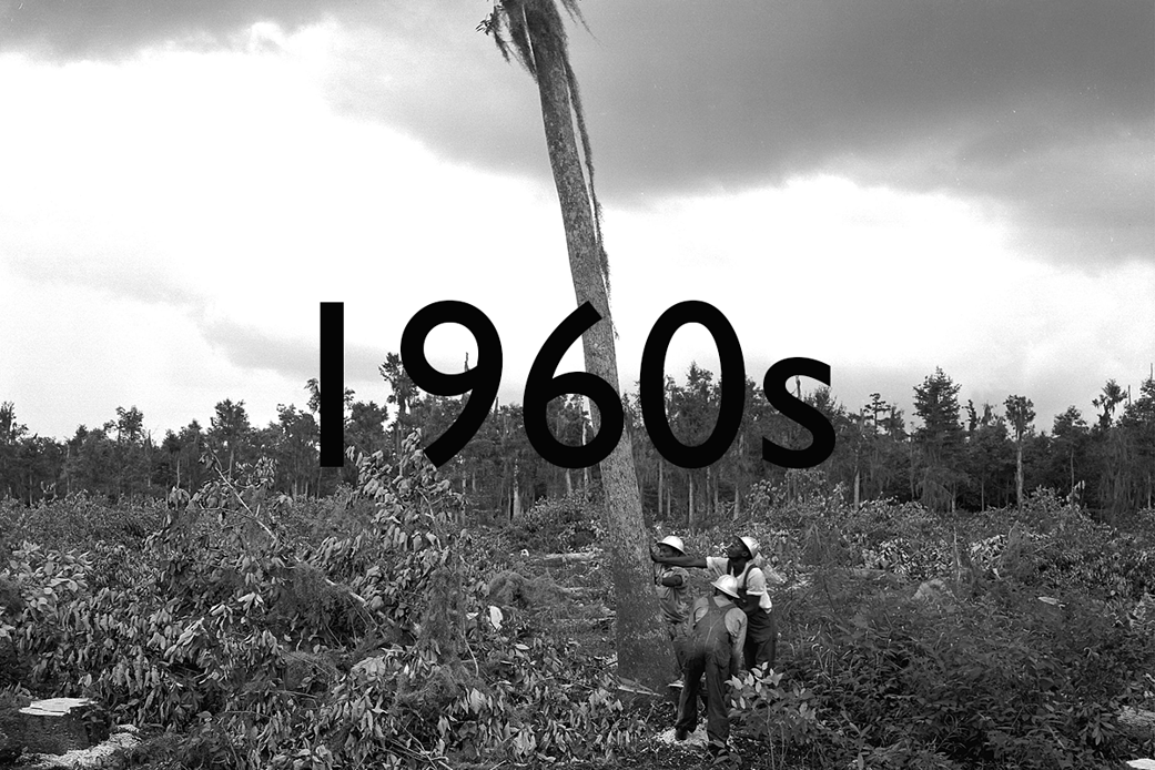 1960s banner