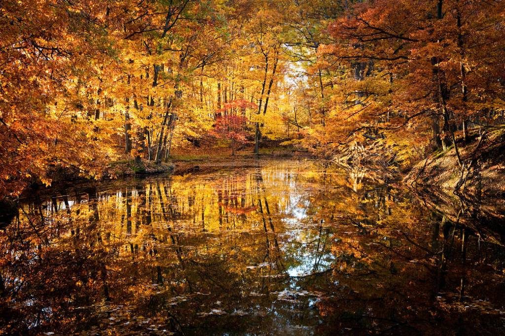 The NASA Glenn Landscape Changes with the Seasons