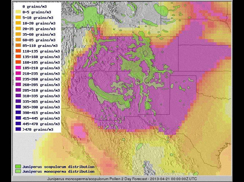 Map showing a near real-time simulation